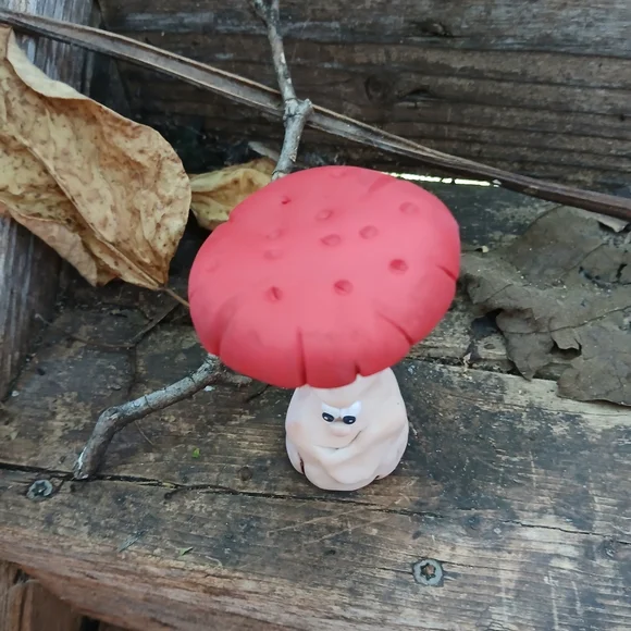 🧡🤎Mushroom Face 🥀🌸 Funny 🍄🟫🍄 - Picture 6 of 7